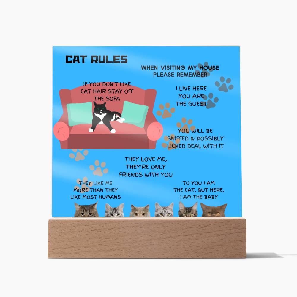 Cat Rules Acrylic Square Plaque
